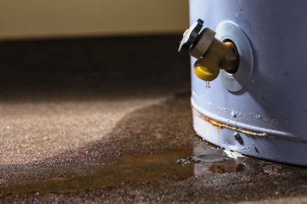 Sewage cleanup and water damage restoration