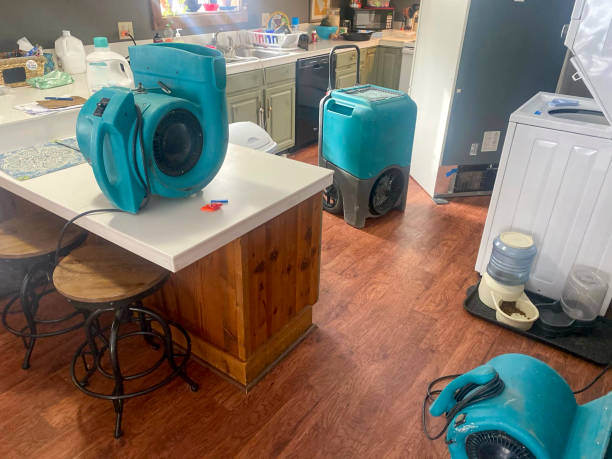 Best Ceiling water damage repair  in Ninnekah, OK