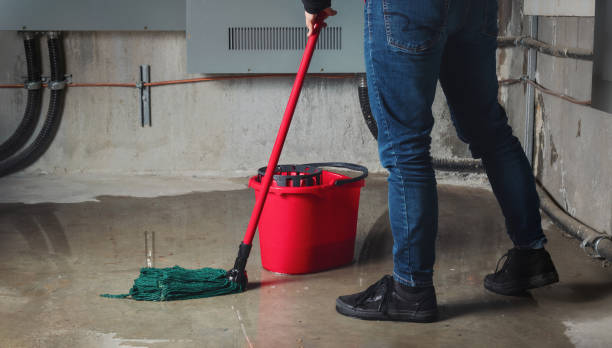 Best 24/7 water damage repair  in Ninnekah, OK