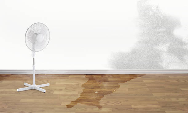 Best Water damage cleanup near me  in Ninnekah, OK