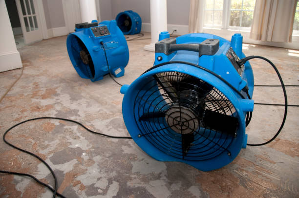 Best Ceiling water damage repair  in Ninnekah, OK