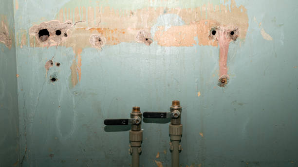 Best Emergency water extraction  in Ninnekah, OK